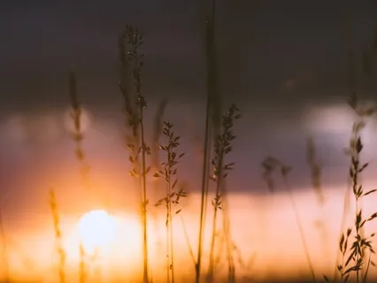 Stoic Evening Meditation