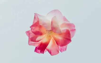 Stoic Superhero #2: Diogenes On Mental Preparation 