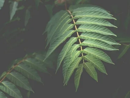 Stoic Thoughts & Meditations