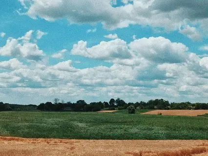 Stoicism Decoded: Your Ancient Wisdom Guide In Plain English