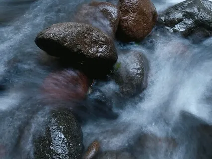 Stones In A Stream: Zen Practice