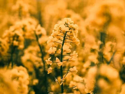 S.T.O.P. | 2 Minute Mindfulness Practice To Relieve Stress & Anxiety