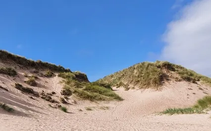 Stop And Pause Meditation