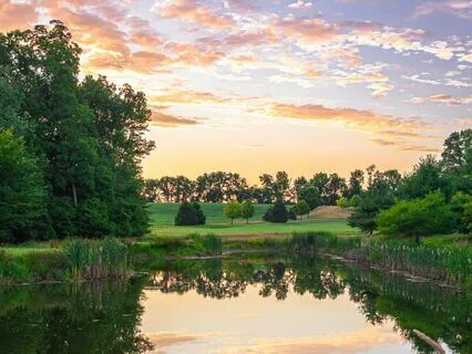 Stop And Return To Yourself