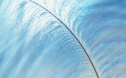 Stop Anxiety And Breathe Easy