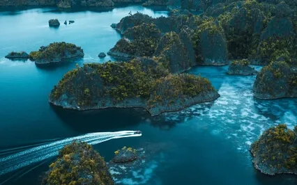 Stop Anxiety, Depression & Overthinking