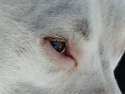 Stop Avoiding Your Inner Self - 10 Minutes