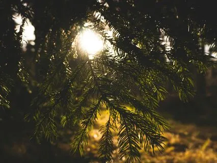 Stop Beating Yourself Up! From Criticism To Kindness