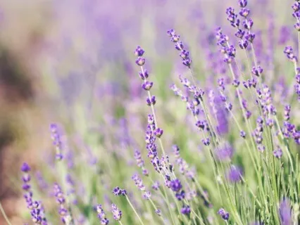 Stop Being Hard On Yourself