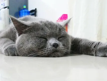 Stop Being Lazy | No More Procrastination