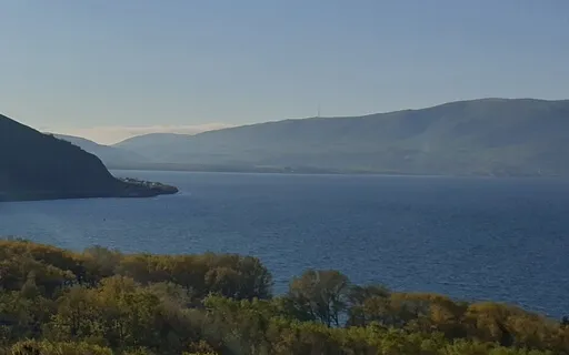 Stop Causing More Pain And Come To Awareness