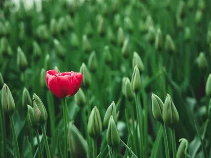 Stop Comparisons To Enhance Self-Esteem & Worthiness