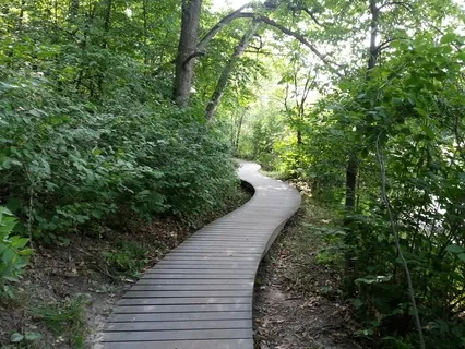 Stop, Drop, and Breathe