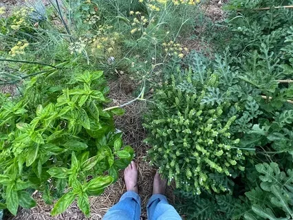 Stop, Drop And Feel. (Down To The Heart Of You)