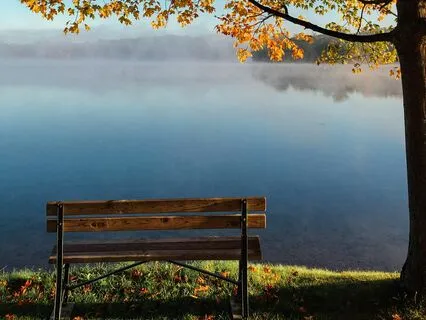 Stop, Drop And Flow: Nervous System Reboot