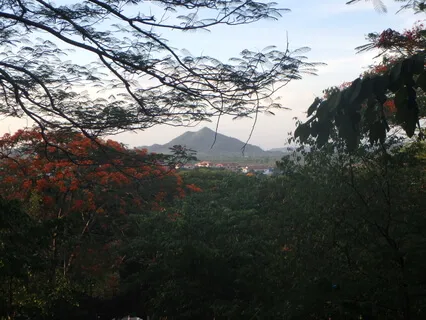 Stop, Drop, and Listen