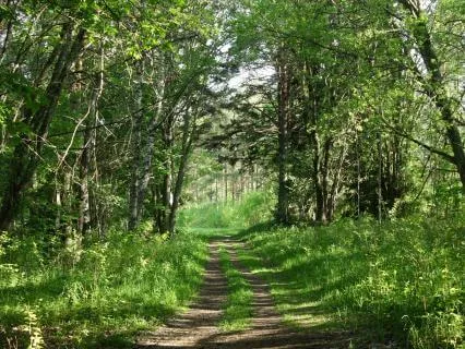 Stop Judging, Start Noticing: A DBT Mindfulness Meditation