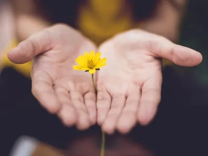 Stop Kicking The Wall