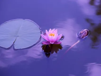 Stop Leaking Energy: Protecting Your Inner Flow