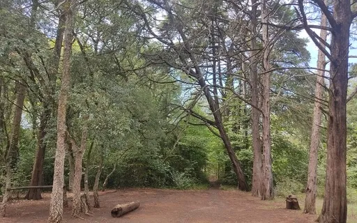 Stop Limiting Beliefs