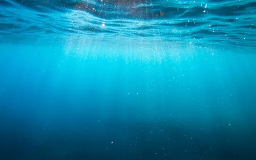 S.T.O.P. Meditation MBSR