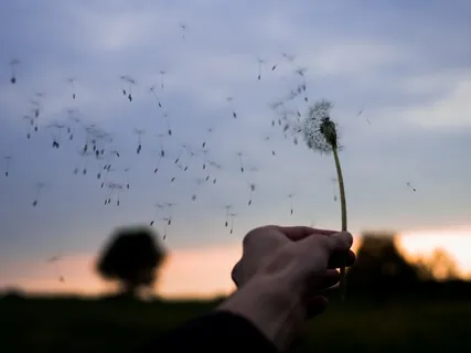 S.T.O.P. - A Mini-Mindfulness Practice