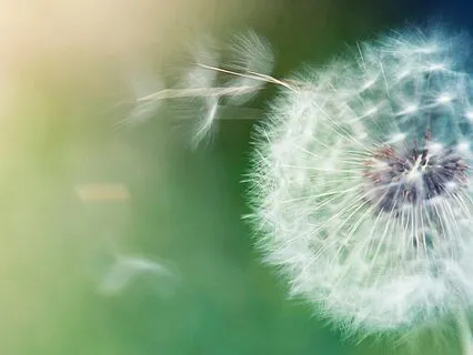 Stop Night Time Anxiety And Circular Thoughts