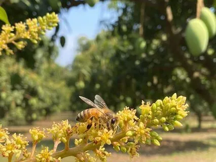 Stop Overthinking At The Root