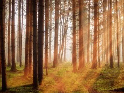 Stop Overthinking: Surrender Into Effortless Awareness