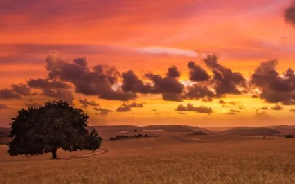 Stop People Pleasing EFT Tapping Meditation