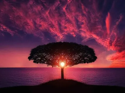 Stop People-Pleasing