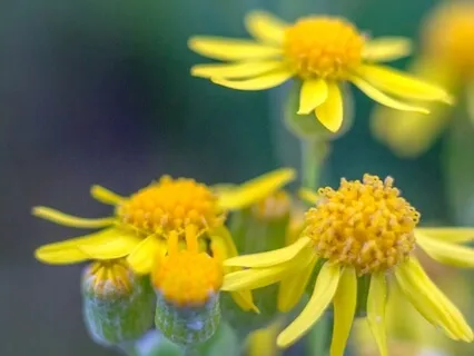 Stop Playing The Blame Game