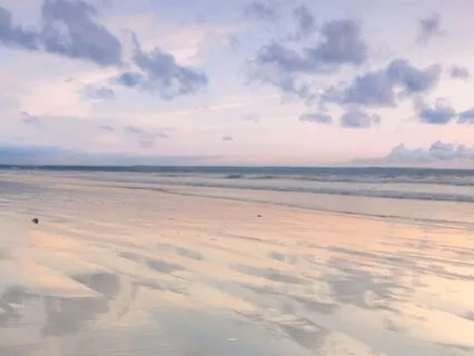 STOP Practice: Pause, Breathe, And Find Calm In Any Moment