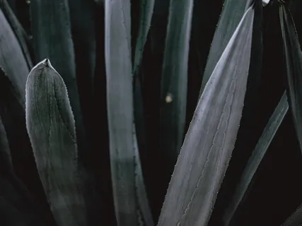 Stop Procrastinating