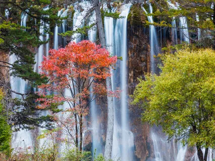 Stop Projecting Random And Untrue Thoughts Upon Others