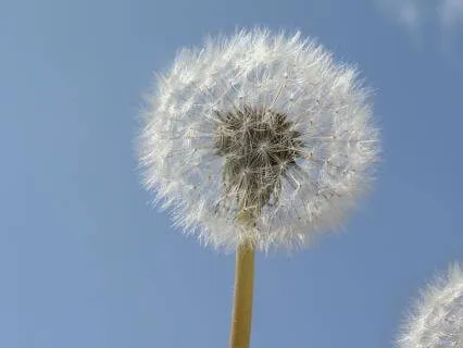 Stop Putting It Off: A Reflection & Practice For Right Now