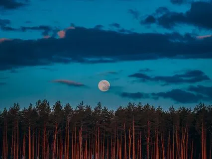 Stop Racing Thoughts, Quiet Your Mind, Anxiety Relief