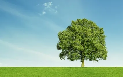 Stop Seeking Is The Real Freedom & Transformation