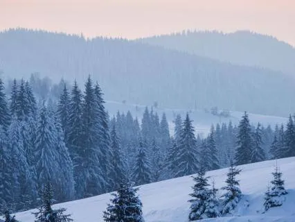 Stop. Take 5. Experience.