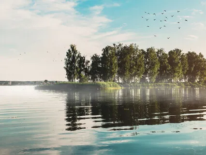 Stop - The Power Of Self-inquiry 