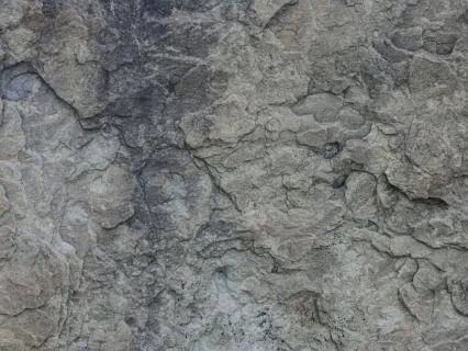 Stop Trying To Sleep | A Paradoxical Intention Meditation