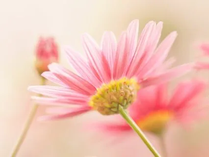 Stop Your Mind From Spinning