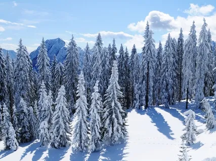 Stopping By Woods On A Snowy Evening (Poem By Robert Frost)