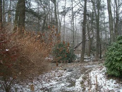 Stopping By Woods On A Snowy Evening