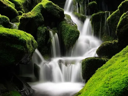 Stopping Yourself In Order To Listen More Deeply 