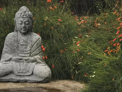 Storied Sounds: Diamond Sutra & Tin Roof Rain (10 Hr)