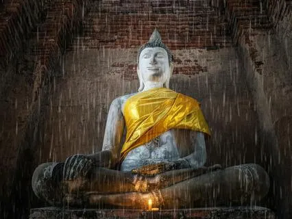 Sleep Story: The Dhammapada & Natural Grey Noise (10 Hr)