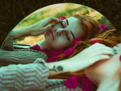 Bedtime Story: Forest Journey