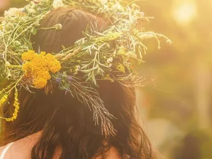 Stories From The North: Summer Festivals