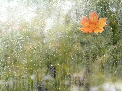 Storm From Outside (Binaural) 